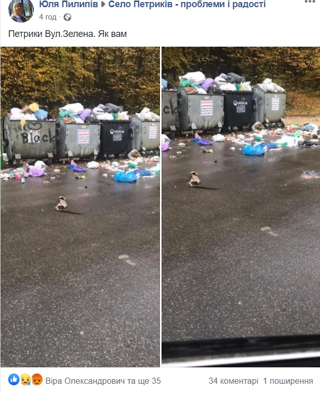 петриків
